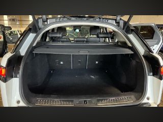 /photos/12312/72b3b630-f344-4c91-8ba4-fe33d0c1e3eb_i320x240.jpg